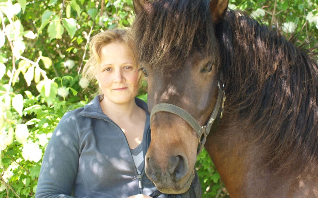 Besøg af hestefysioterapeut